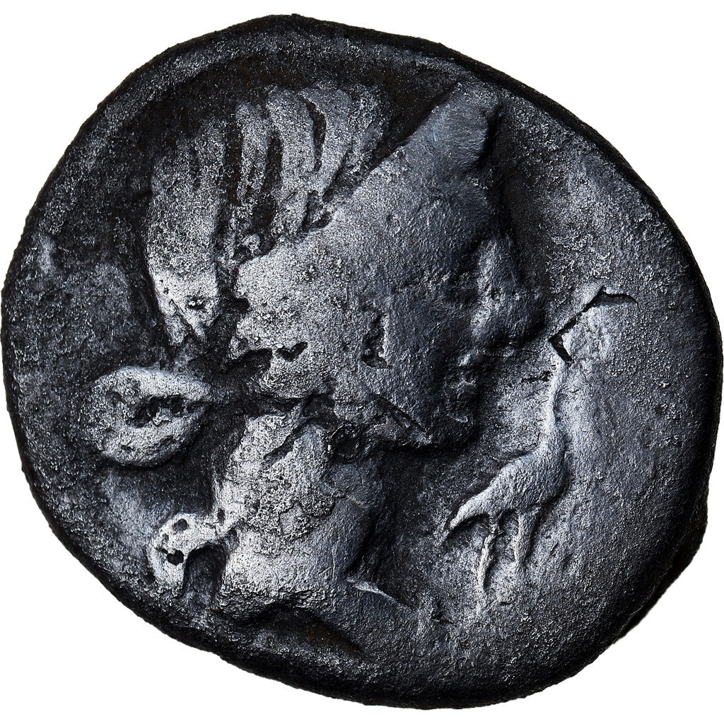 kovanec,
Cecilija,
Denarius