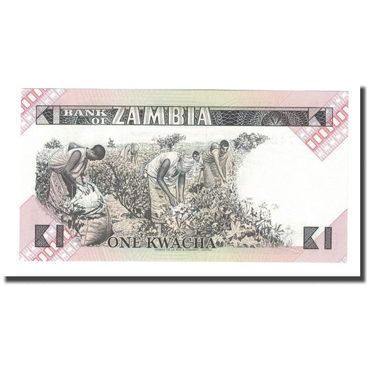 bankovec, 
  
  Zambija, 
  
  1 kvača